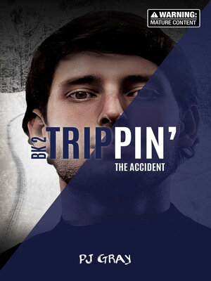 cover image of The Accident (Book 2)